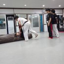 하나 합기도 | 삼화지구합기도 분위기좋은 "합기도 용호체육관" 체험 후기