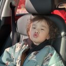 중앙동5 | [원주 증명사진] 중앙동 너를담다 스튜디오, 5살 남아 첫 증명사진 촬영후기