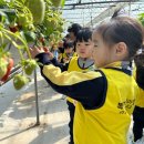 전주 푸드 이미지