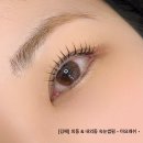 마요래쉬