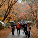 추억저장소 이미지