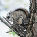 하늘자원 이미지