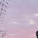 윤대리 명동칼국수 | 25.12월 일상