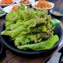 꽃차돌 Daum카페