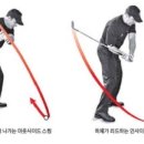 인아웃