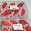 킹스베리 이미지