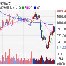 (주)마제스타 마제스타카지노 이미지