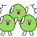 송보마트 이미지