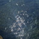 하모리 담채 이미지