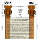 솔로몬1 이미지