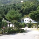 강가애하루 이미지