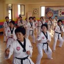 실버태권도 이미지