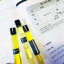 라온펄스