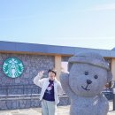 MD 골프카페 | 제주 스타벅스 금악 DT점 제주도 서쪽 카페 베이커리 한정 메뉴 MD