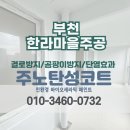 봉명주공2단지A | [부천 탄성코트] 원미구 한라마을주공3단지 뜨란채 베란다 곰팡이 제거후 페인트 시공
