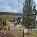 한일모터스 | 전주여행 후기 _ 전주월드컵경기장, 전주동물원, 디오니스토어, 전주맛집 현대옥 콩나물국밥 &amp; 모주 한...