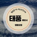 태풍합기도 이미지