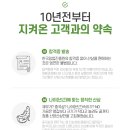 뿌리디자인