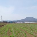 부흥마을 네이버블로그