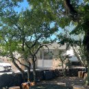 아천미술관 | 제주공항근처카페 유지커피웍스 | 숲쑥라떼 맛집 목조 건축 감성의 제주 대형카페