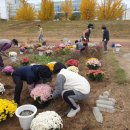 상평동행정복지센터 이미지