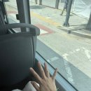 미스엘라 이미지