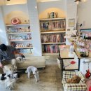 광릉내 애견 이미지