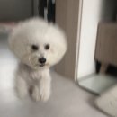 예산군립도서관 | 24년 4월 정산