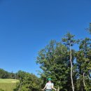 부산 해운대 기장 근교 골프장 울산 울주 신설 오르비스gc 오르비스cc 18홀 대중골프장 라운드 라운딩 후기