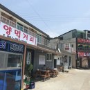 쇼킹노래연습장 이미지