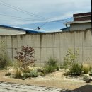 스테이 시래 이미지