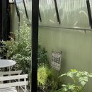 하대동319 | 진주 하대동 특별한 날을 선사하는 유럽 감성 브런치 카페 모율샵 마이스코프