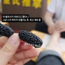 옌타이 할 거 추천 13 (혼자여도 괜찮아)