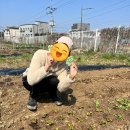 만우농장 이미지