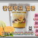 비원허브