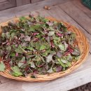 참솔에너지 이미지