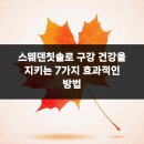오페라치과의원 | 스웨덴칫솔로 구강 건강을 지키는 7가지 효과적인 방법