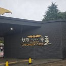 동해시-30 | 동해 여행 동해 아이와 가볼만한 곳 천곡동굴 방문 후기