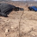 동업 농장 이미지