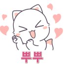 펫보드레 이미지