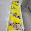 3195 | 보듬라이프 장례 후기 | 세심하고 따뜻한 진행에 큰 위로를 받았습니다 | 서호추모공원,천안추모공원