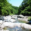 가평 숲속의 계곡 펜션 이미지