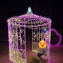 경주스테이 별빛정원 | 가평 더스테이힐링파크 부대시설 후기｜미니동물원·별빛정원·조식까지 아이와 1박2일