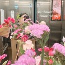 행복을주는꽃 이미지