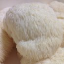 버섯생농장 이미지