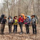 숲속정원 이미지