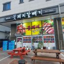 꽃돼지갈매기