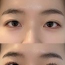 청담속눈썹