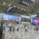 비비큐서부정류장점 | 250419-21 일본 고베 교토 오사카(feat. 에어로케이)