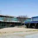 코리안덕 이미지